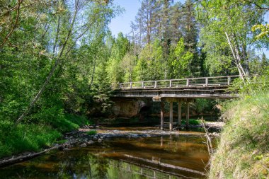 güzel yaz ormandaki yaşlı ahşap köprü