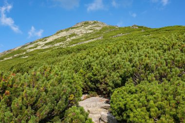 Batı Karpat dağ panorama açık gün. Tatra turistler için yürüyüş parkurları. uzak ufuk