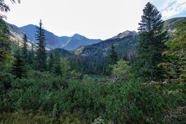 Batı Karpat dağ panorama turistik yürüyüş parkurları ve çevresinde yeşil orman ile açık gün. Tatra, Slovakya