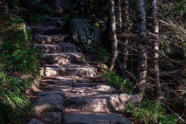 Slovakya dağlarda taş merdiven yakın çekim vurdu
