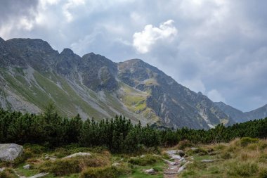 Batı Karpat dağ panorama turistik yürüyüş parkurları ve çevresinde yeşil orman ile açık gün. Tatra, Slovakya