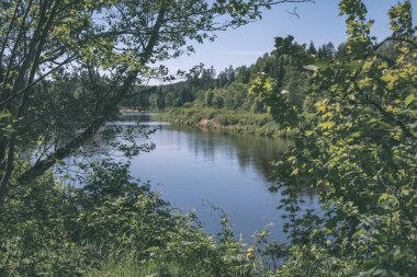 sakin Nehri yakınındaki Cesis, Letonya ağaçlarının yansımaları ile. Gauja Nehri