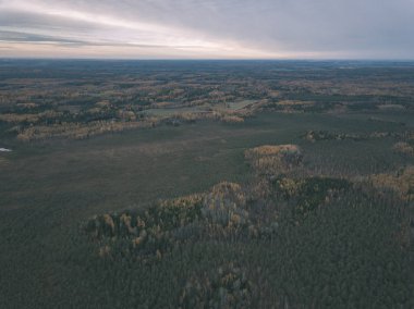 drone görüntü. hava alanları ve ormanları ile kırsal alan görünümünü sonbahar sis kaplı. Letonya - vintage eski film bakmak