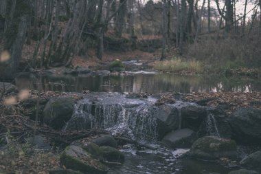 şelale üzerinde Nehri akış ormanda çıplak ağaçlar ile geç sonbaharda ve gri renklerde doğada - vintage eski film bakmak kayalarda