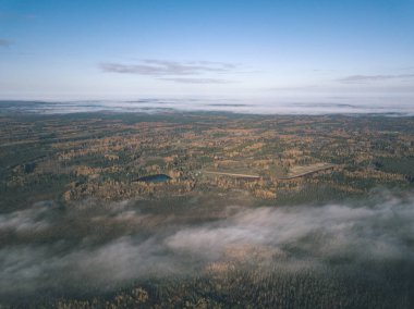 drone görüntü. hava alanları ve ormanları ile kırsal alan görünümünü sonbahar sis kaplı. Letonya - vintage eski film bakmak
