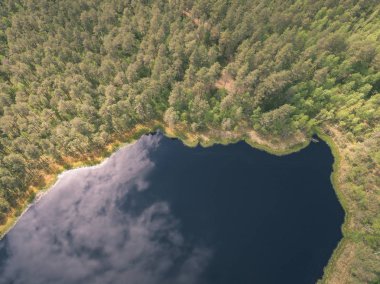 drone görüntü. alanları ve ormanları ve bulutlu bahar günü nehir su yansımalar kırsal alan hava görünümünü. Letonya - vintage eski film bakmak