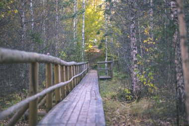 gri renkler - vintage eski film bakmak ile sonbahar ormanda suda ahşap tahta köprüden