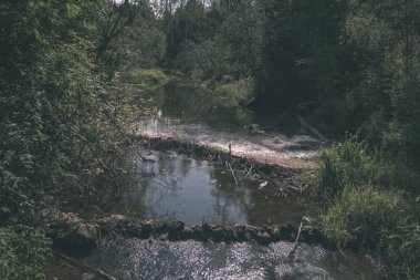 güzel orman doğa göl veya nehir temiz su sonbahar yansıtıyordu.