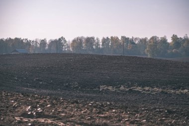 parlak gün ışığı tarafında - vintage eski film bakmak renkli ağaçlar ile geç sonbaharda boş taze ekili tarım alanında
