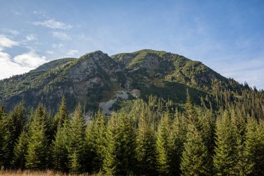 ormanlar ve ağaçlar erken sonbaharda kaplı bulutlu Slovakça Western Karpat Tatra dağ manzarası
