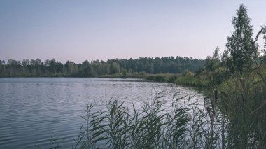 güzel orman doğa göl veya nehir temiz su sonbahar yansıtıyordu.