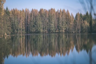 Doğa yansımalar göl veya nehir kırsal su temizleyin. sonbahar renkleri - vintage eski göz film.