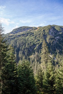 ormanlar ve ağaçlar erken sonbaharda kaplı bulutlu Slovakça Western Karpat Tatra dağ manzarası