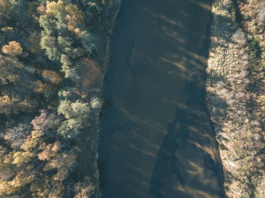 drone görüntü. sonbahar renkli ormandaki dalgalı Nehri'nin havadan görünümü. Letonya, nehir gauja - vintage eski film bakmak