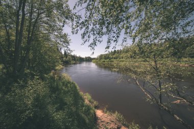 sakin Nehri yakınındaki Cesis, Letonya ağaçlarının yansımaları ile. Gauja Nehri