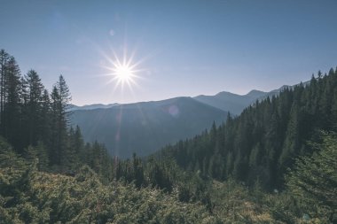 Slovakça Tatra Dağları'nda güzel misty gündoğumu karanlık ormanın içinde siste hafif şeritli
