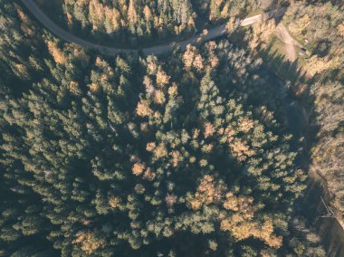 drone görüntü. sonbahar renkli ormandaki dalgalı Nehri'nin havadan görünümü. Letonya - vintage eski film bakmak Gauja Nehri