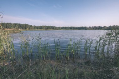 güzel orman doğa göl veya nehir temiz su sonbahar yansıtıyordu.