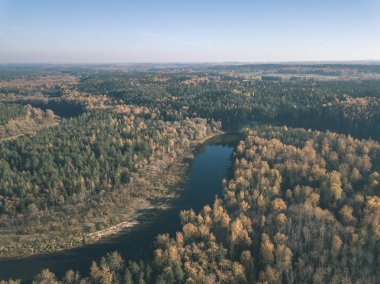 drone görüntü. sonbahar renkli ormandaki dalgalı Nehri'nin havadan görünümü. Letonya, nehir gauja - vintage eski film bakmak
