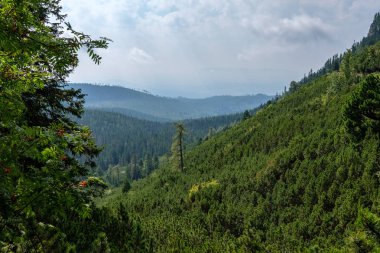 Turistik yürüyüş parkurları ile Batı Karpat Dağları. Tatra, Slovakya