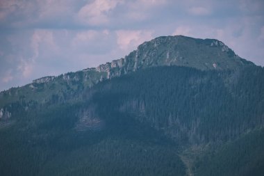 Batı Karpat dağ başında sis ile sonbaharda kaplı. 