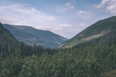 güzel Batı Karpat Tatra dağ manzarası yeşil alanları ve ormanları ön planda. Yaz aylarında yürüyüş parkurları Slovakça