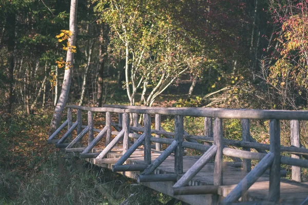 Ξύλινη Σανίδα Γέφυρα Πάνω Από Νερό Στο Δάσος Φθινόπωρο Γκρι — Φωτογραφία Αρχείου