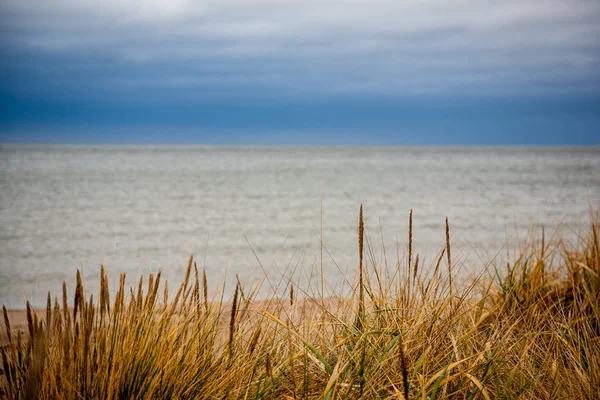 Kayalık Sahil Şeridine Letonya Akış Deniz Geç Sonbaharda Büyük Kayalar — Stok fotoğraf