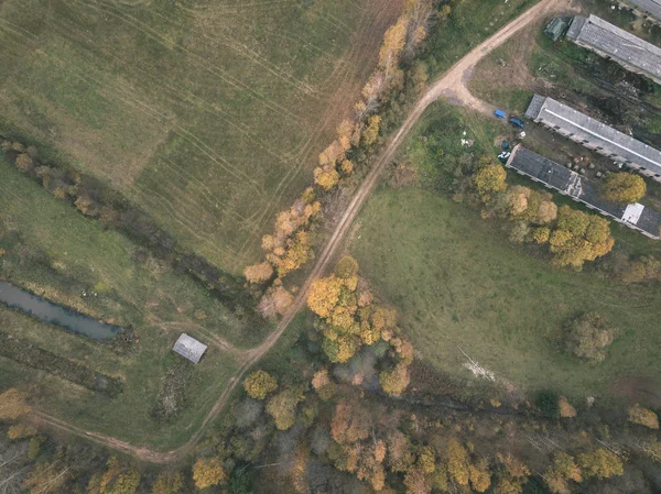 无人机图像 鸟在农村地区与砾石路在秋天颜色的领域和森林 拉脱维亚 复古老电影外观 — 图库照片