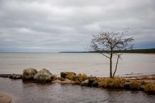 Rocky Берегової Лінії Латвії Потоку Води Морі Великі Камені Пізній — стокове фото