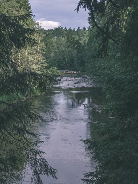 Vacker Stenig Bäck Skogen Sommaren Amata Floden Lettland Nära Cesis — Stockfoto