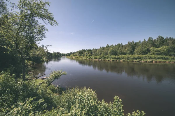 Спокойная Река Отражениями Деревьев Возле Цесиса Латвия Река Гауя — стоковое фото
