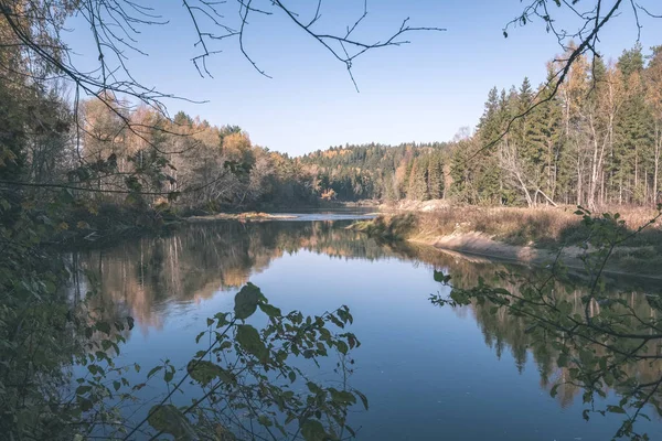 Rivière Forêt Automne Pays Coloré Rivière Gauja Lettonie Près Ville — Photo