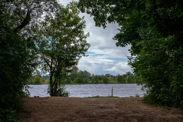 Grandi Alberi Nuovo Cielo Blu Vista Dal Basso Fogliame Verde — Foto Stock