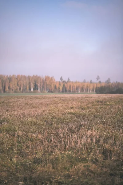 Campo Vuoto Nel Tardo Autunno Nei Colori Dell Autunno Marrone — Foto Stock