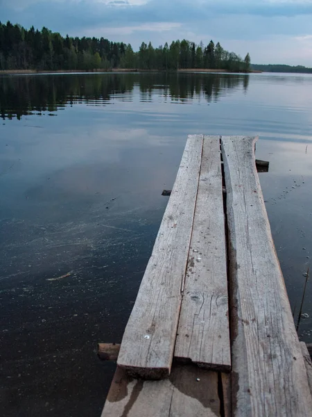 su yeşil yaz orman çevresinde göl ile ahşap ve kompozit malzeme ayak köprüden