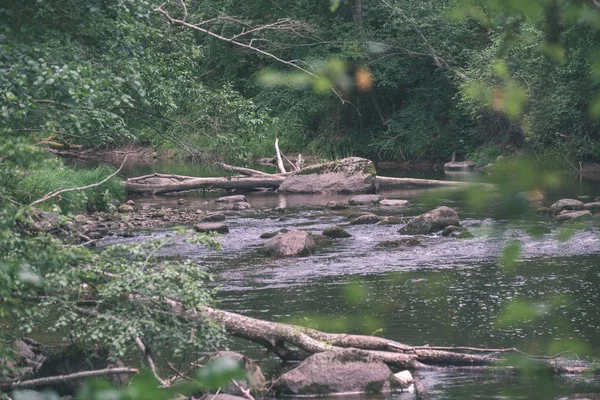 Ruisseau Rocheux Rivière Profondément Dans Forêt Été Rivière Amata Lettonie — Photo