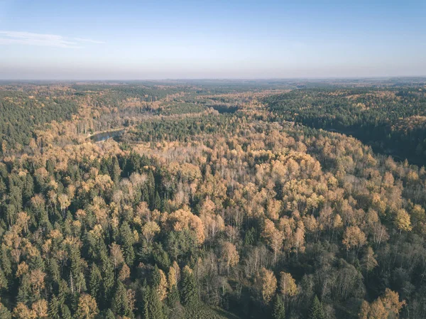 Drone Obrazu Widok Lotu Ptaka Obszarów Wiejskich Jesieni Żółtymi Czerwonymi — Zdjęcie stockowe