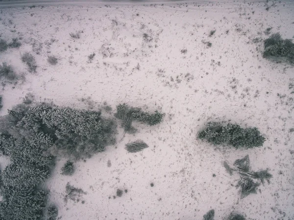 Image Drone Vue Aérienne Zone Rurale Avec Des Champs Des — Photo