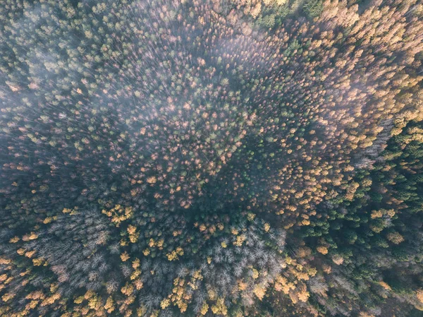 Imagen Del Dron Vista Aérea Zona Rural Otoño Con Árboles —  Fotos de Stock