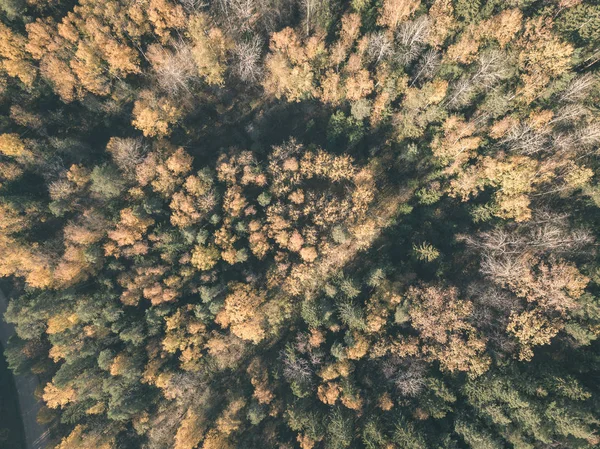 Изображение Дрона Воздушный Вид Сельскую Местность Осенью Желтыми Красными Деревьями — стоковое фото