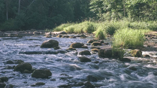 Vacker Stenig Bäck Skogen Sommaren Amata Floden Lettland Nära Cesis — Stockfoto