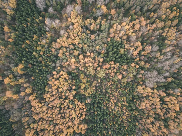 Imagen Del Dron Vista Aérea Zona Rural Otoño Con Árboles —  Fotos de Stock