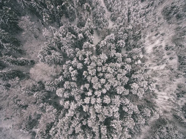 Imagem Drone Vista Aérea Área Rural Com Campos Florestas Inverno — Fotografia de Stock