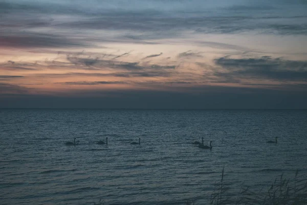 Красные Насыщенные Цвета Закате Над Балтийским Морем Спокойной Водой Солнечными — стоковое фото