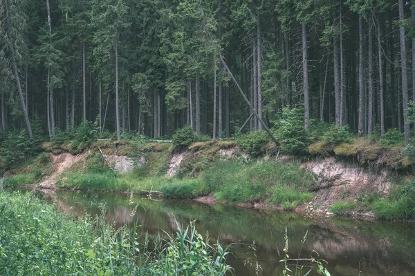 Arroyo Rocoso Río Profundo Bosque Tiempo Verde Verano Con Acantilados —  Fotos de Stock