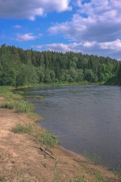 Спокійно Річка Відбиттям Деревами Поблизу Цесіс Латвія Річки Гауя — стокове фото