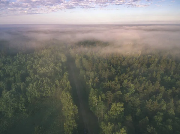 drone image. aerial view of rural area with fields and forests and water reflections in river in cloudy spring day. latvia - vintage old film look