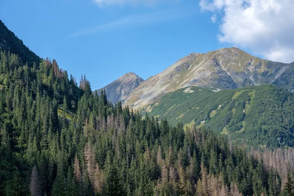 Westkarpaten Mit Touristischen Wanderwegen Tatra Slowakei — Stockfoto