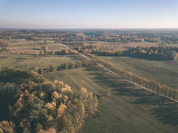 Drone Image Aerial View Rural Area Gravel Road Autumn Colored — Stock Photo, Image